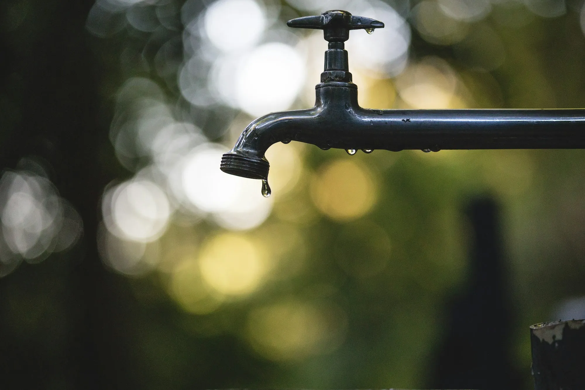 Sediment filtration in Laguna Hills Black outdoor water spigot with a drip